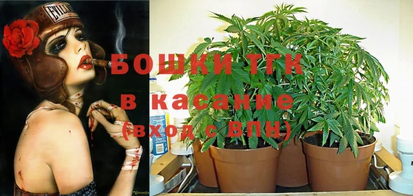 каннабис Белокуриха