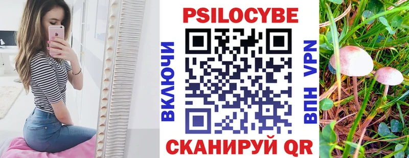 Галлюциногенные грибы GOLDEN TEACHER  kraken онион  Берёзовка  купить наркотики сайты 
